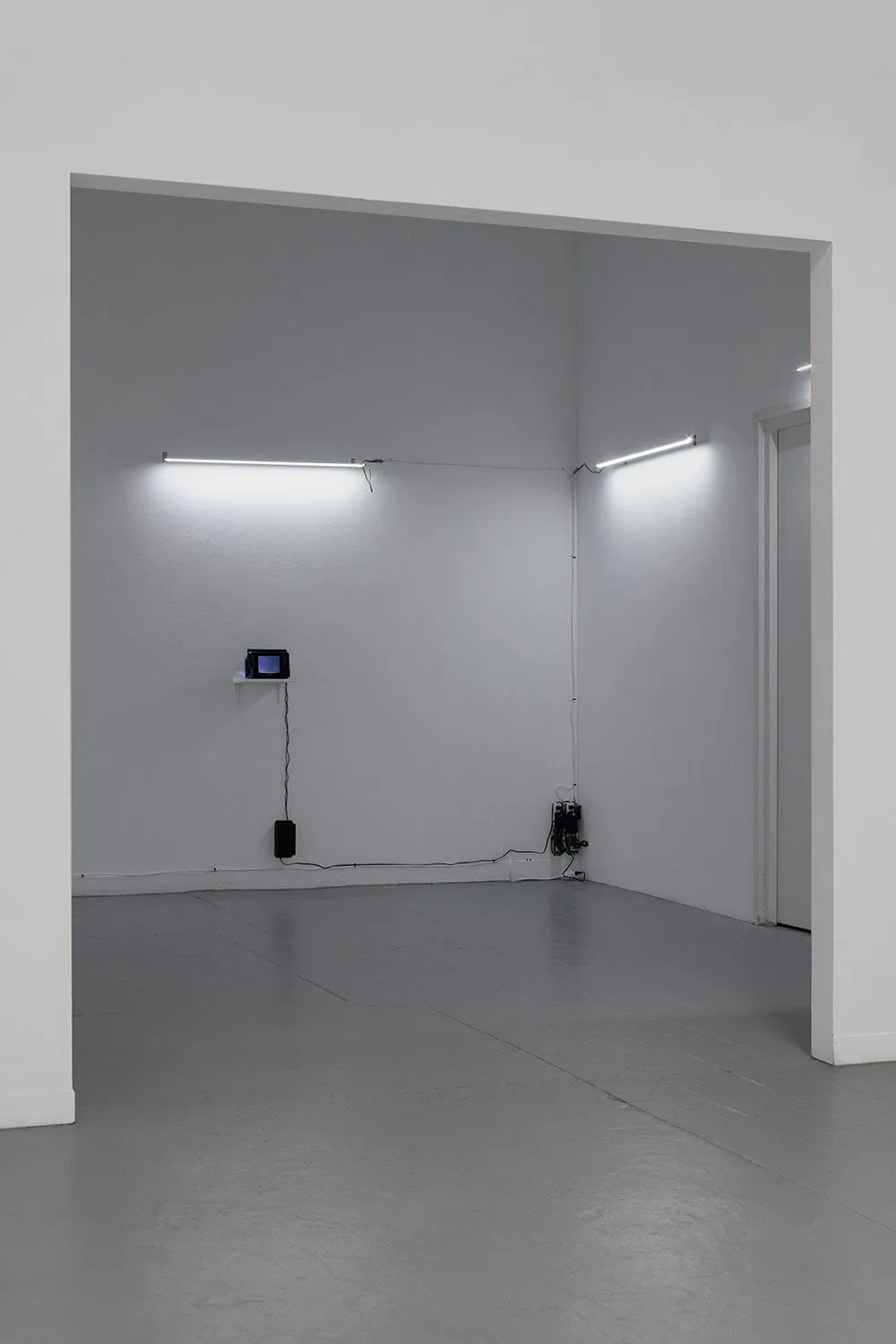 Light as Signal