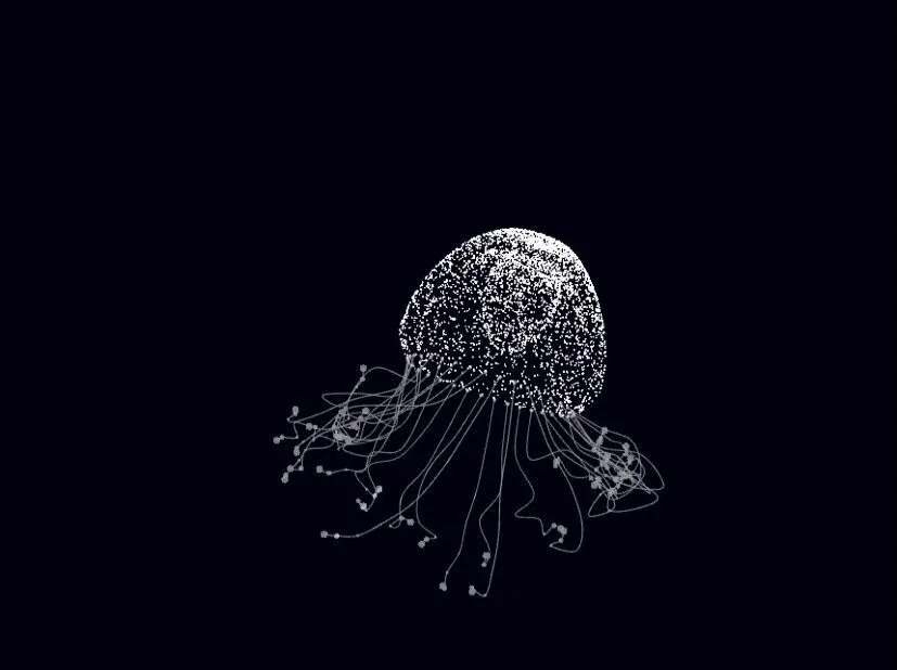 Turritopsis nutricula