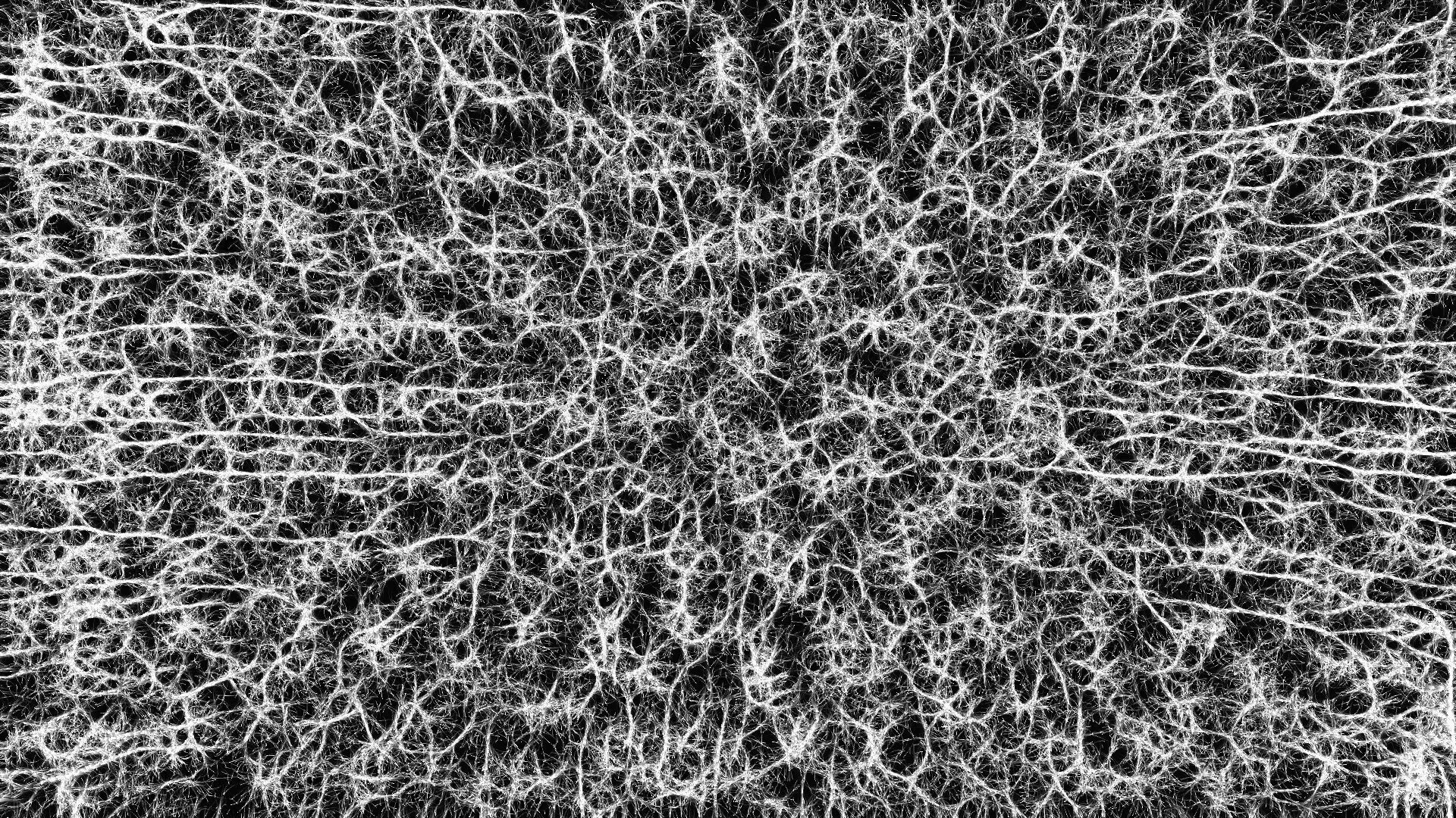 Mycelium