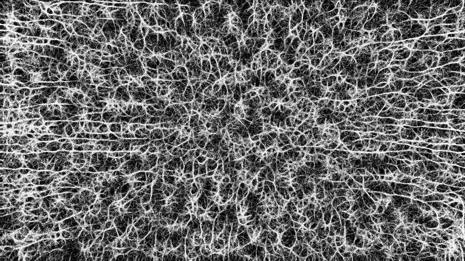 Mycelium