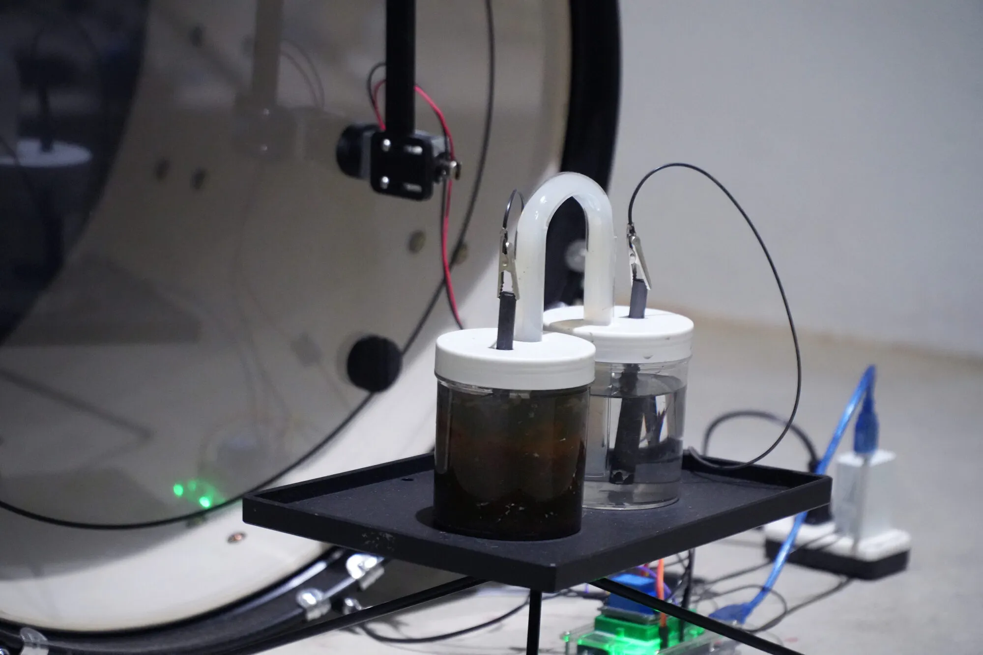 Microbial Ensemble
