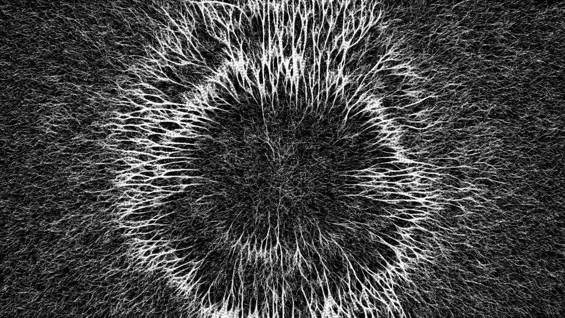 Mycelium