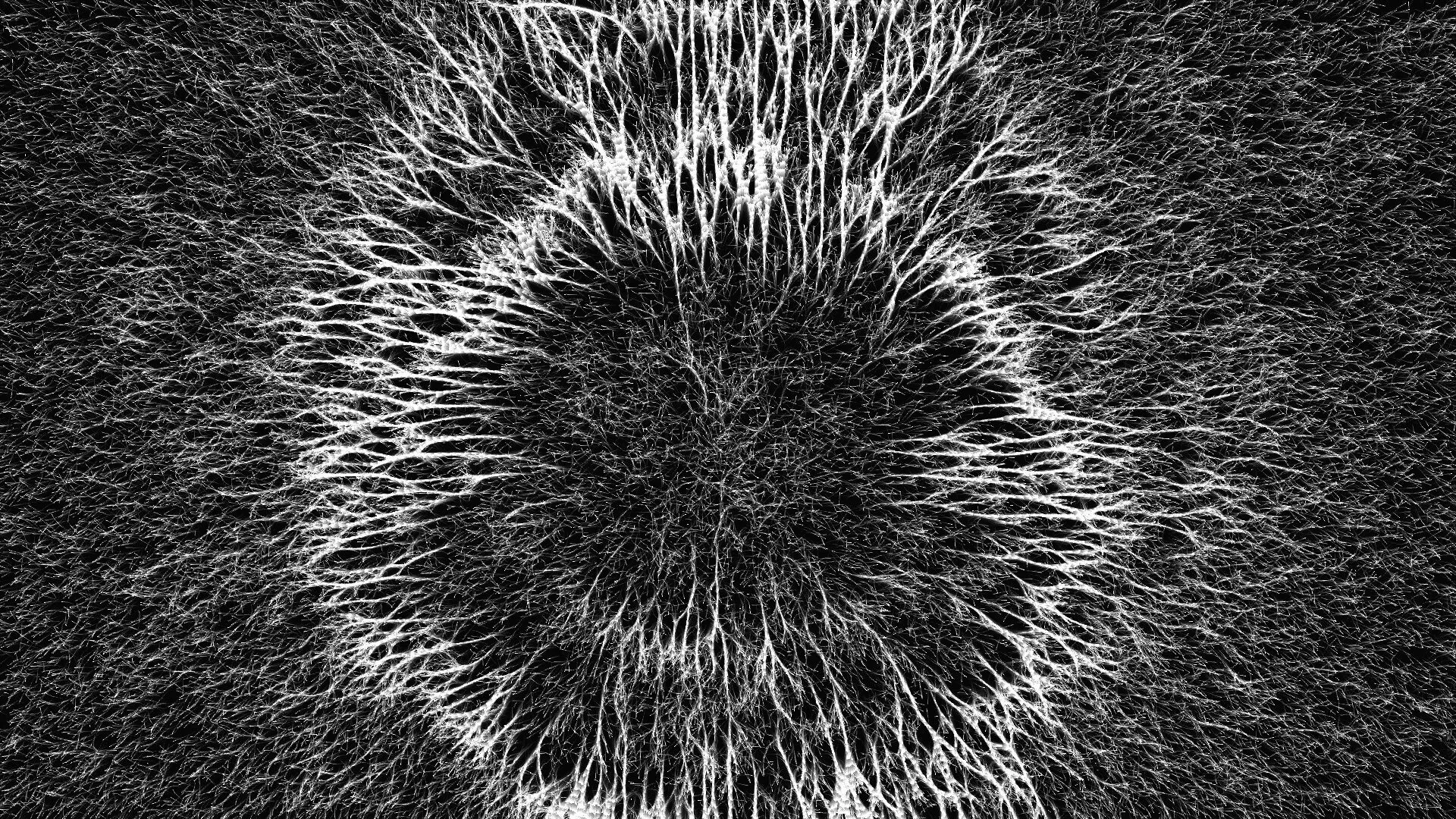 Mycelium