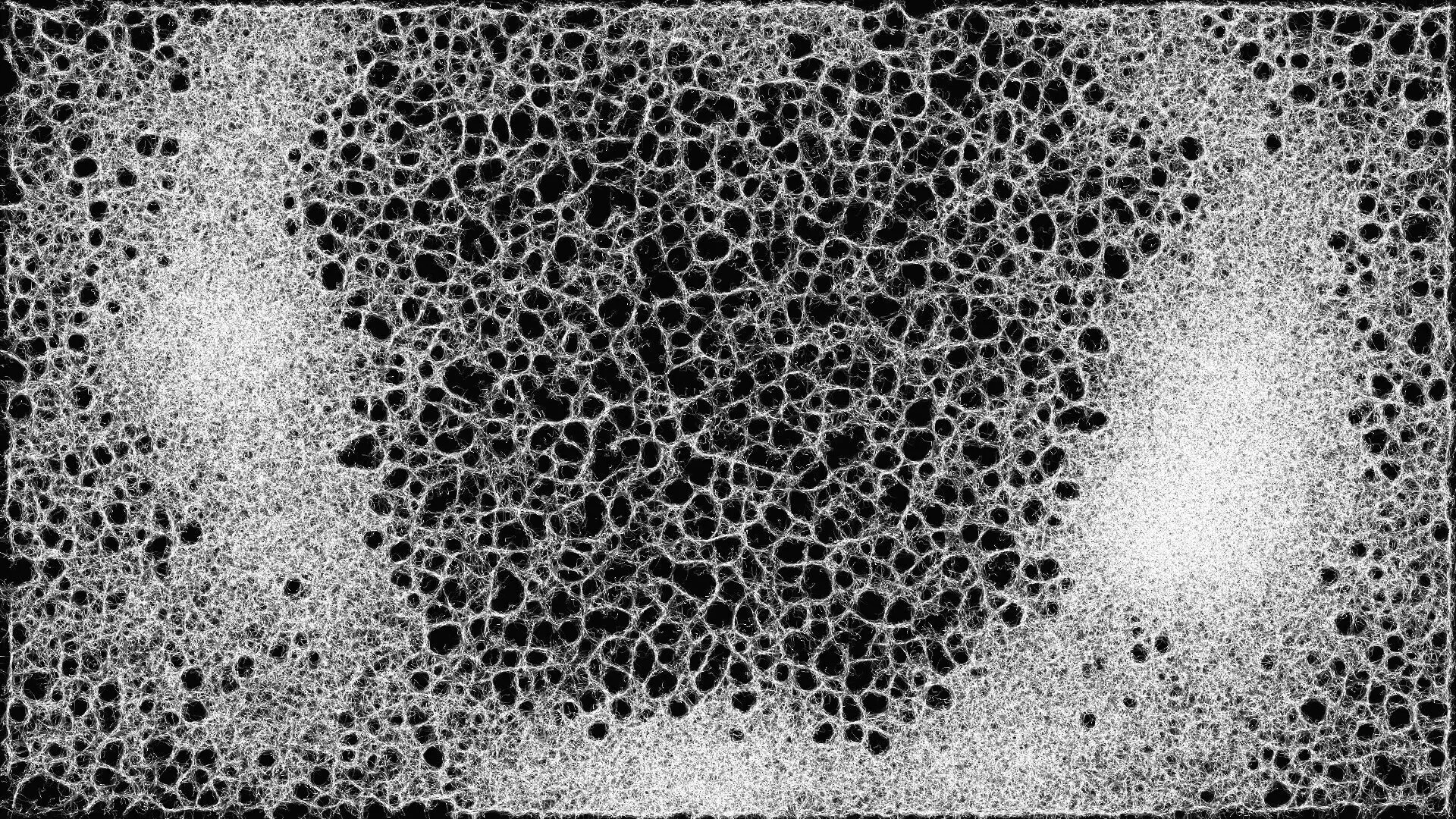 Mycelium