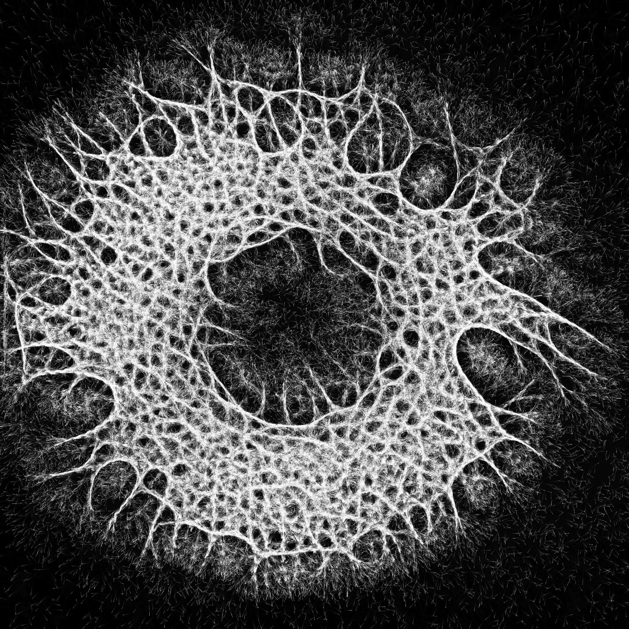 Mycelium