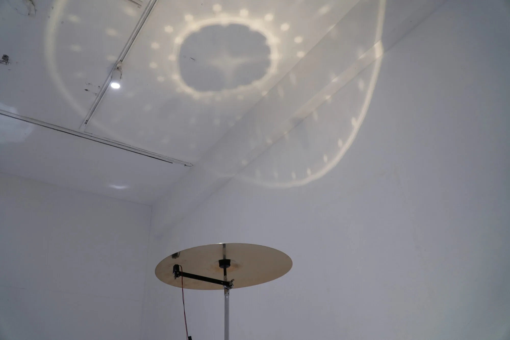 Microbial Ensemble