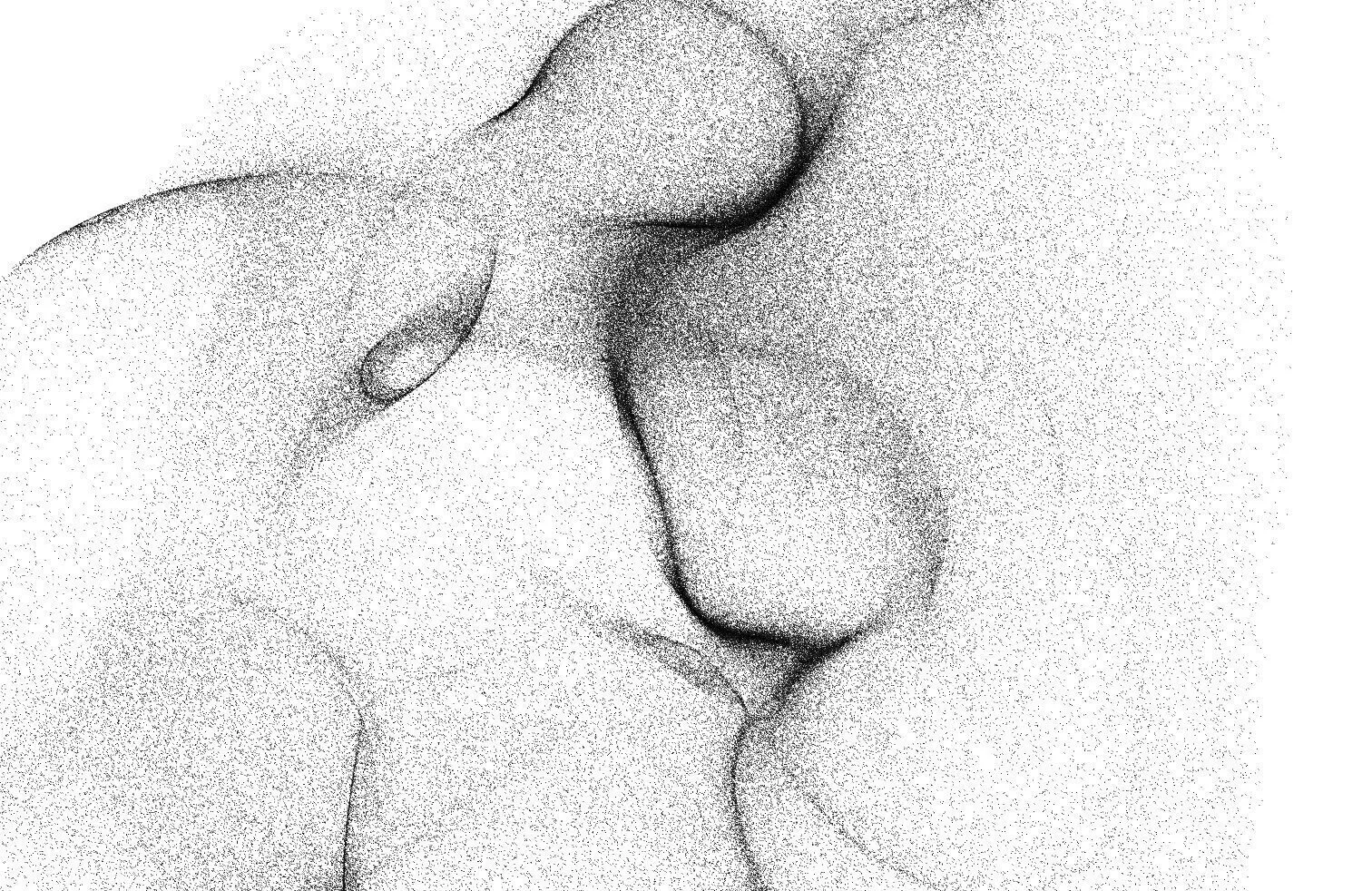 Attractor